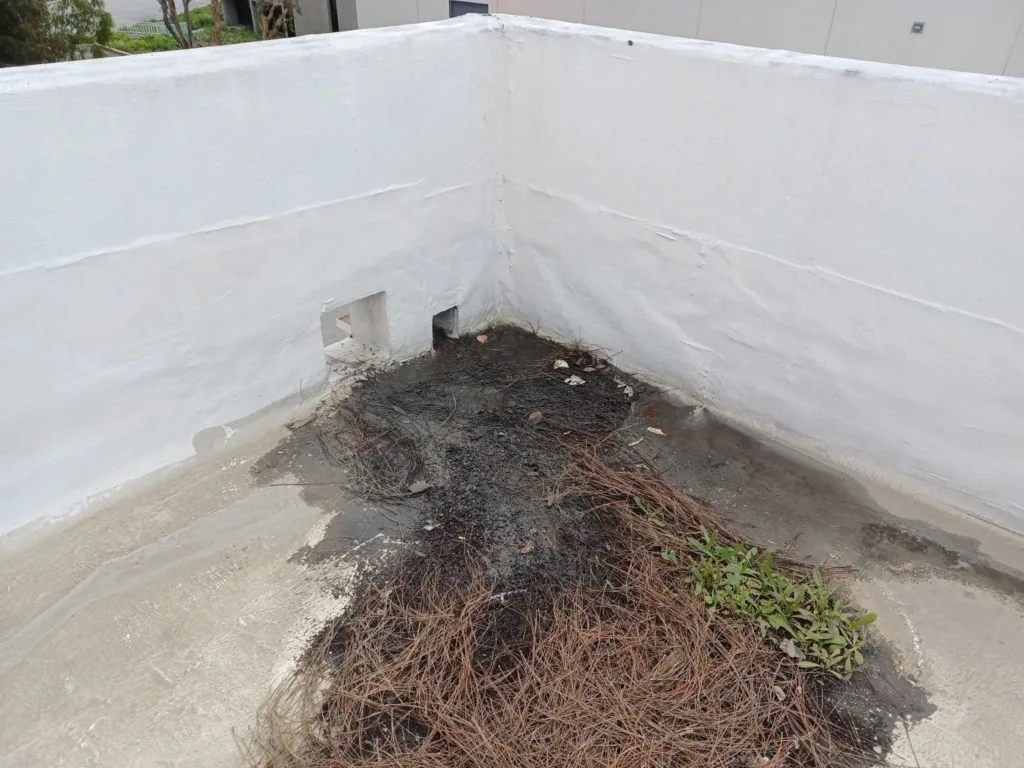 Roof Drain and Scupper Service in Springfield, MA
